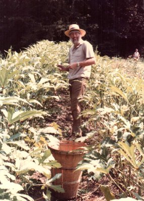 046-Harry 2.jpg.medium.jpeg